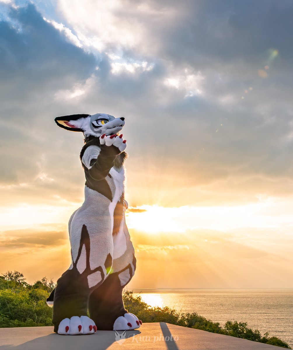 るん (Run) (@run_charizard) / Posts / X