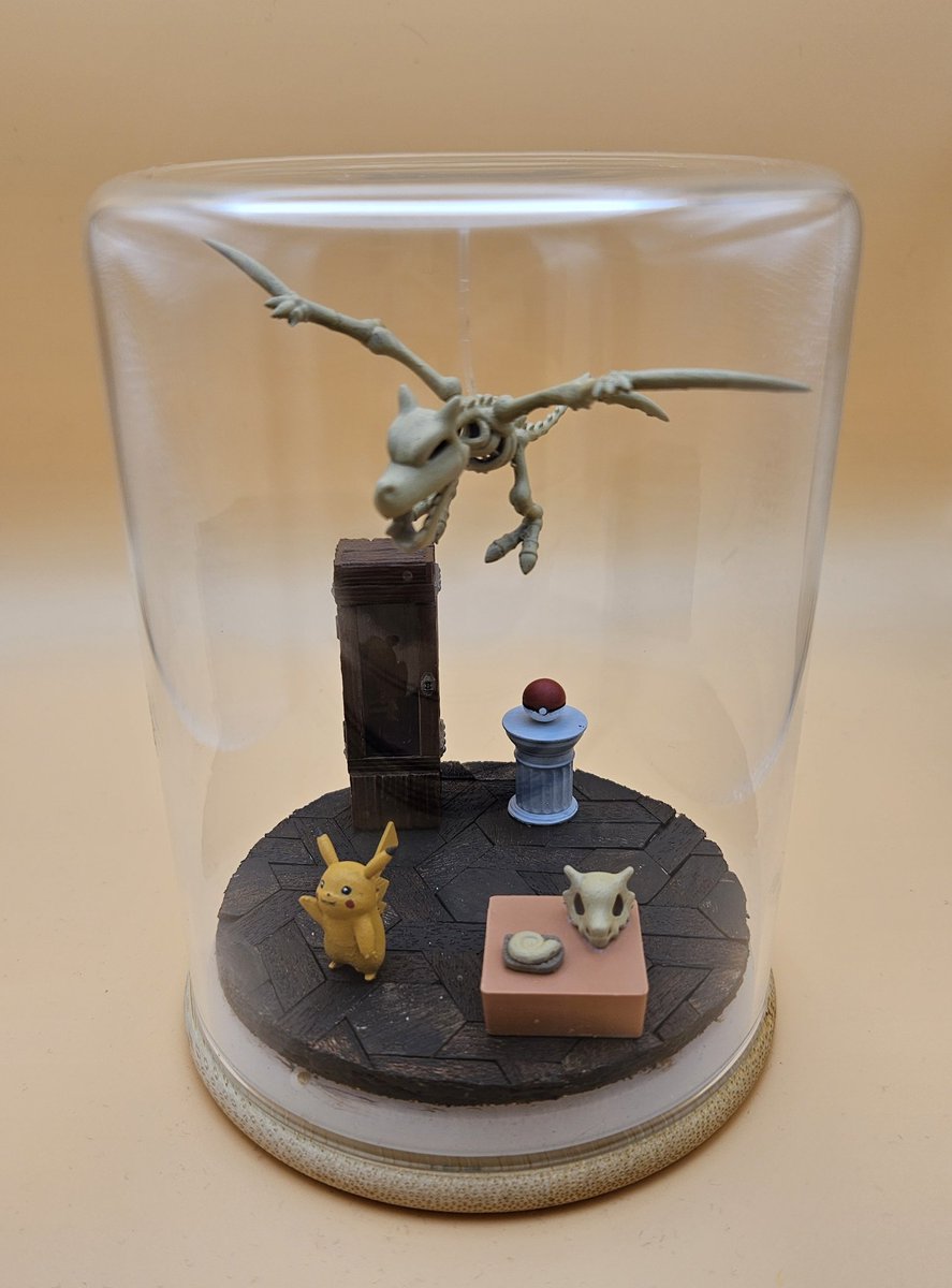 Finn's terrariums tweet media