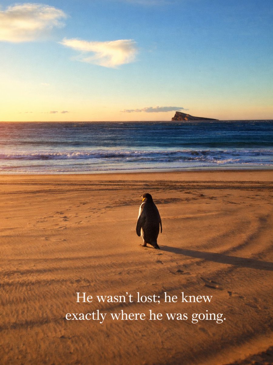 visitbenidorm's tweet photo. He wasn’t lost; he knew exactly where he was going. 🌊🐧

Sometimes, leaving the crowd behind is the only way to find paradise.

#Benidorm #visitbenidorm #ThePenguin #TravelInspiration #ChooseYourOwnPath https://t.co/dIS04D0s38