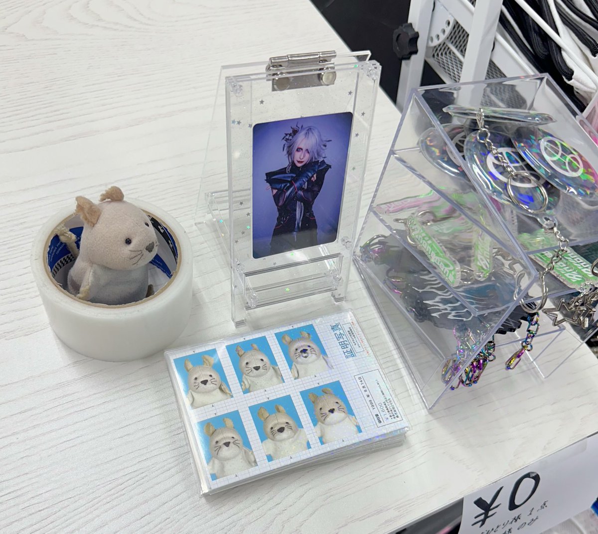 ネッピー・チーズ、お店番してます。 このチェキが祀れるやつも買え