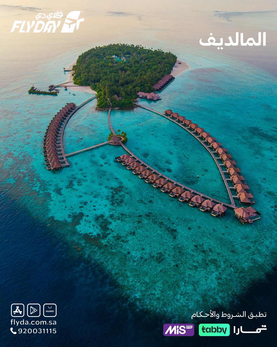flydaycom's tweet image. يناير له إحساس مختلف 🌴✈️
جزر دافئة، بحر صافي
اختر جزيرتك 
والباقي علينا! 

#فلاي_دي #سفر #مالديف #وجهتك_الجايه