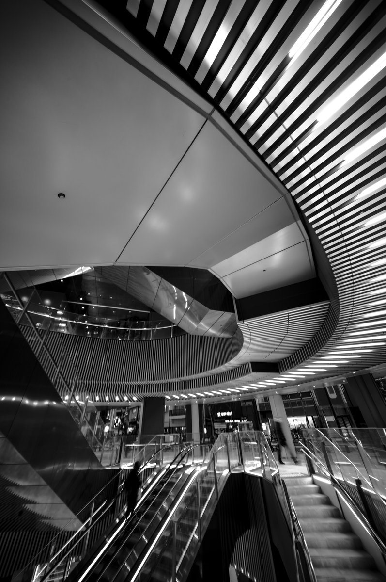DaichanSpecial's tweet photo. Monochrome photography 
渋谷スナップ https://t.co/xBLpbY3Y8F