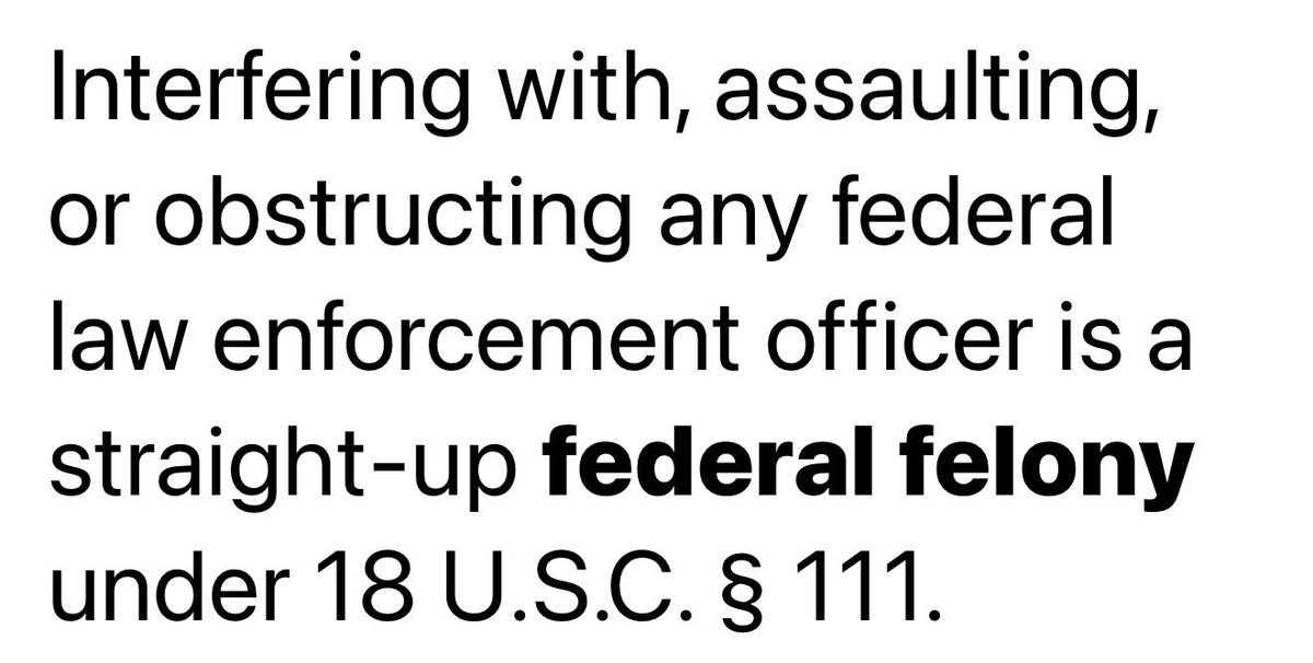 alex frel tweet media