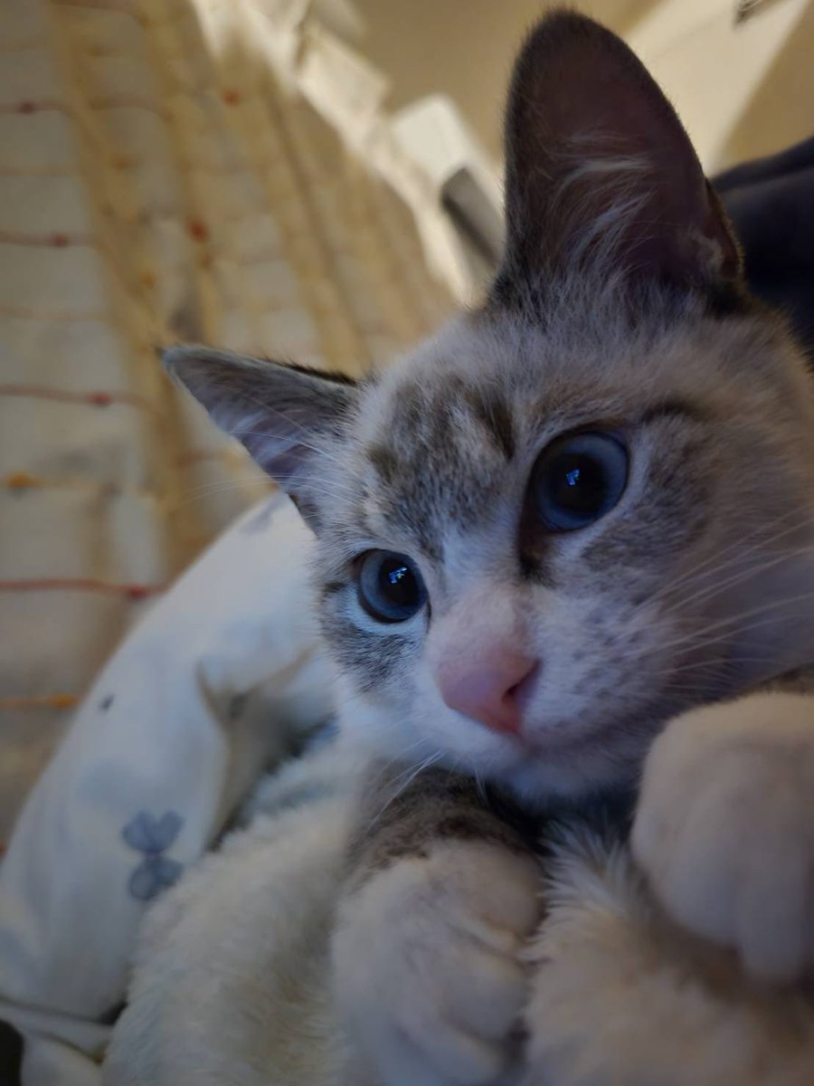 まりもちゃん！と🧌 (@marimo2021915) / Posts / X