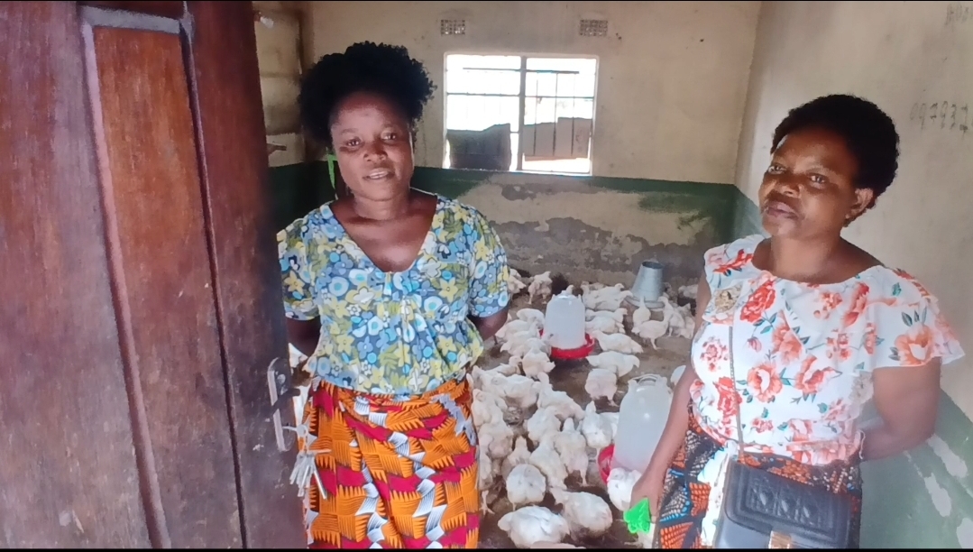 Diggers.News tweet media