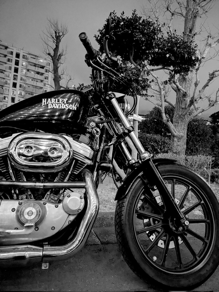 のらいぬ (@sheep609) / Posts / X