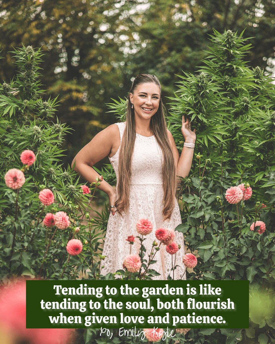 EmKyleNutrition's tweet image. Nourish your garden and your soul with love, and watch them both bloom. 🌱 

#HolisticHealth #HolisticWellness #EmilyKyle