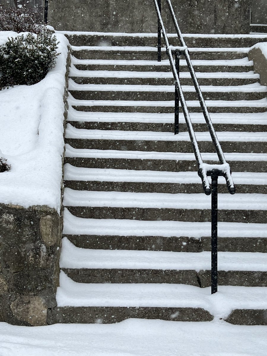 Amir Grinstein מחקרהתנהגותי# tweet media