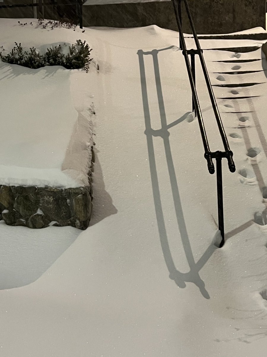 Amir Grinstein מחקרהתנהגותי# tweet media