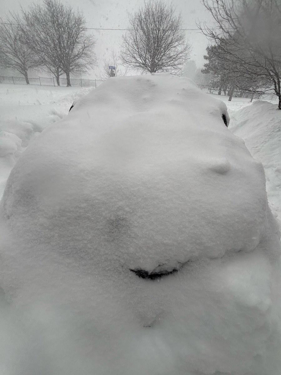 Ross Hull tweet media