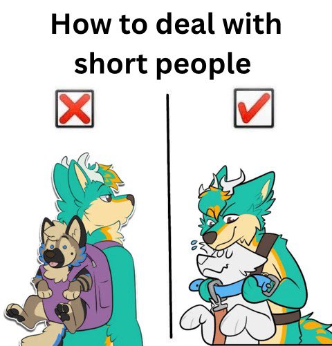 🐕Asher🦌 🔜 FurDU, MFF 25 tweet media