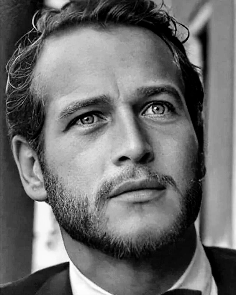 Sećanje na Pola Njumana 🕊️
26. 01. 1925 – 26. 09. 2008
Oličenje stila i čovečanstva..
Plave oči koje se verovatno neće više pojaviti na filmskom platnu. ❣️