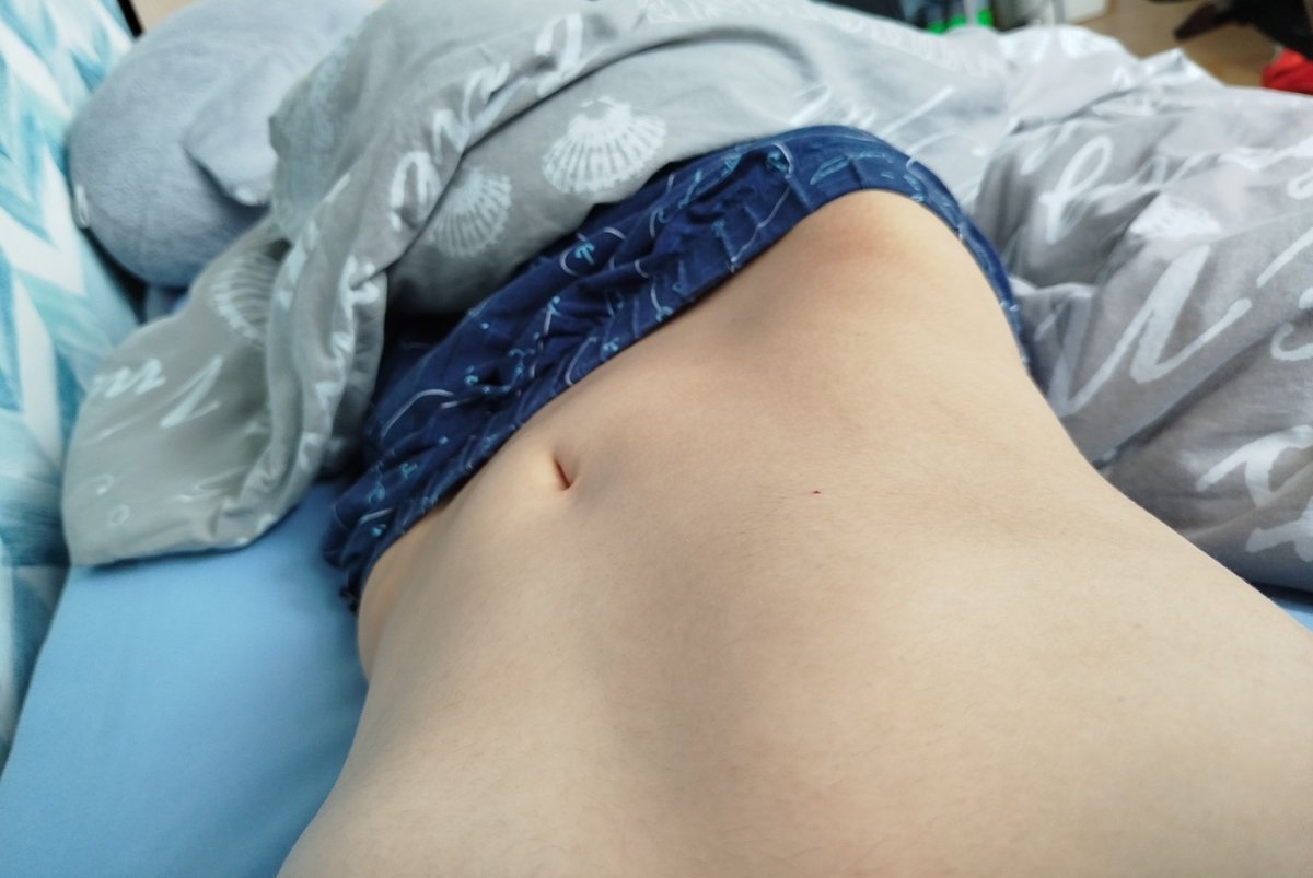 PukekoBirb's tweet image. Morning tummy :3
#teehee #pukeko #tummy