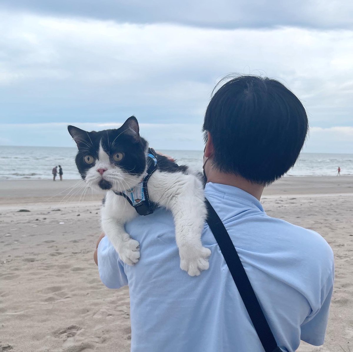 Bonusiie's tweet image. สุขสันต์วันเกิดลุงบอมเบย์ 11 ขวบแล้วฮาพพพ
แข็งแรงๆ น่ารักอ้อนๆแบบนี้ตลอดไปนะลุง