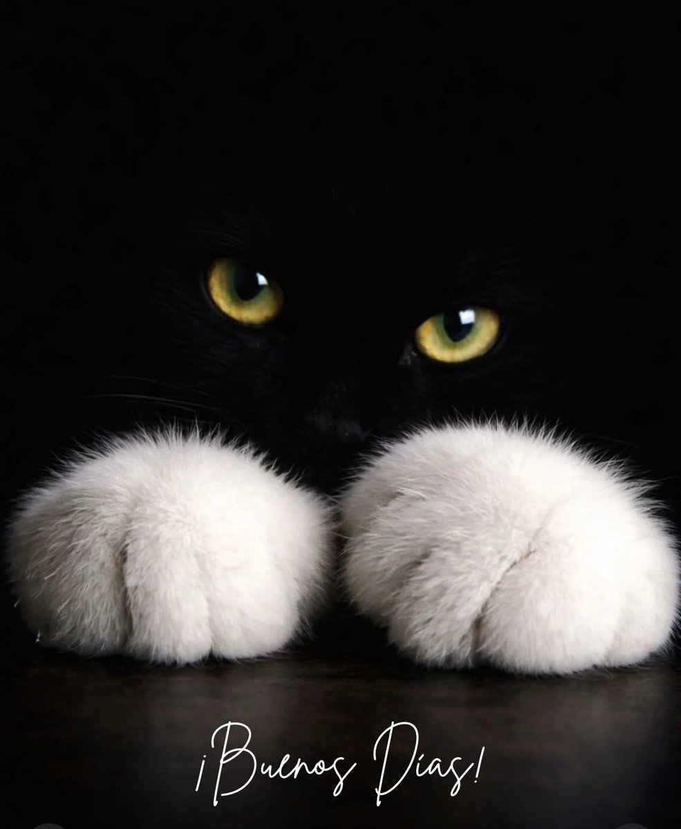 Uno puede dar lo que no tiene.
Por ejemplo, una persona puede dar felicidad y no ser feliz; puede dar miedo y no estar aterrada. Y puede dar sabiduría y no tenerla.
Todo es tan misterioso en el mundo...
Jorge Luis Borges.
😯