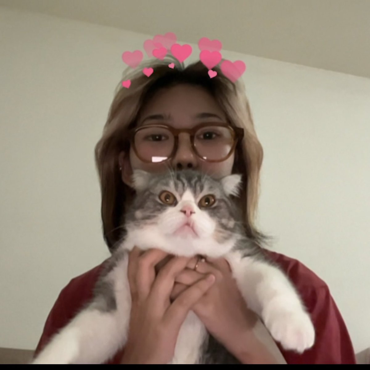 cuenst's tweet image. 