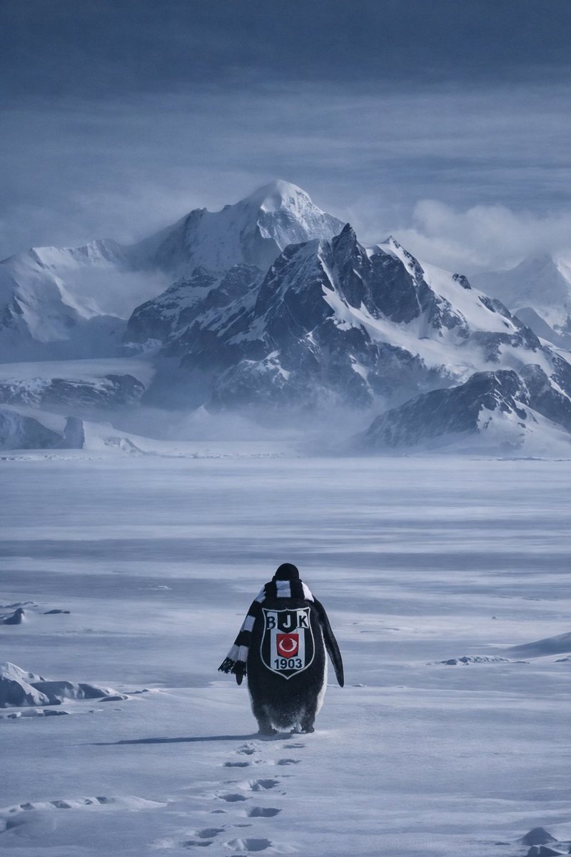 Bizim yolumuz her daim zor olandı