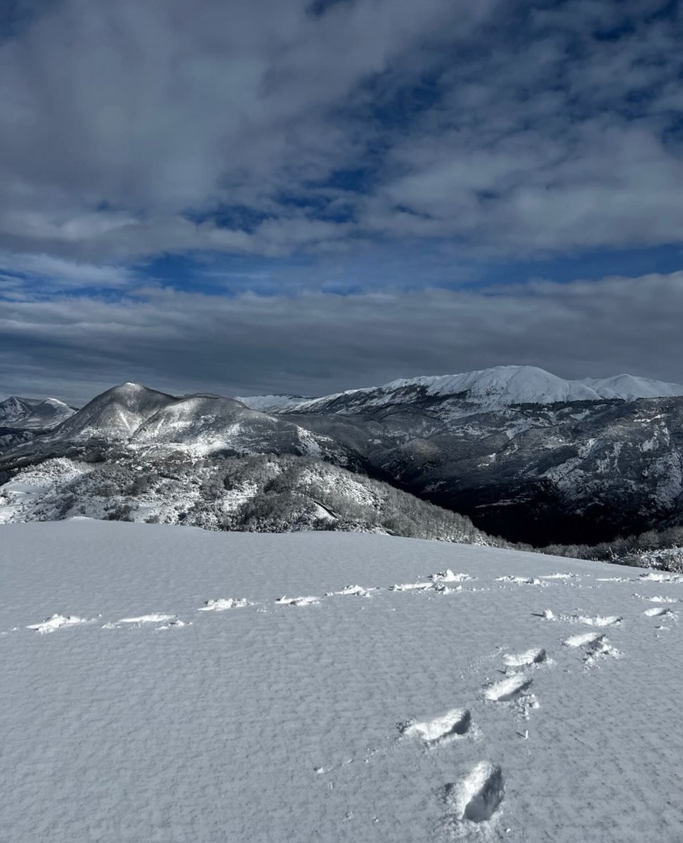 ave_tour's tweet photo. Winter magic just a short trip from the city ❄️
📍Dajt
#dajtimountain#visitalbania🇦🇱#winter#snow https://t.co/XKshXEdFhs