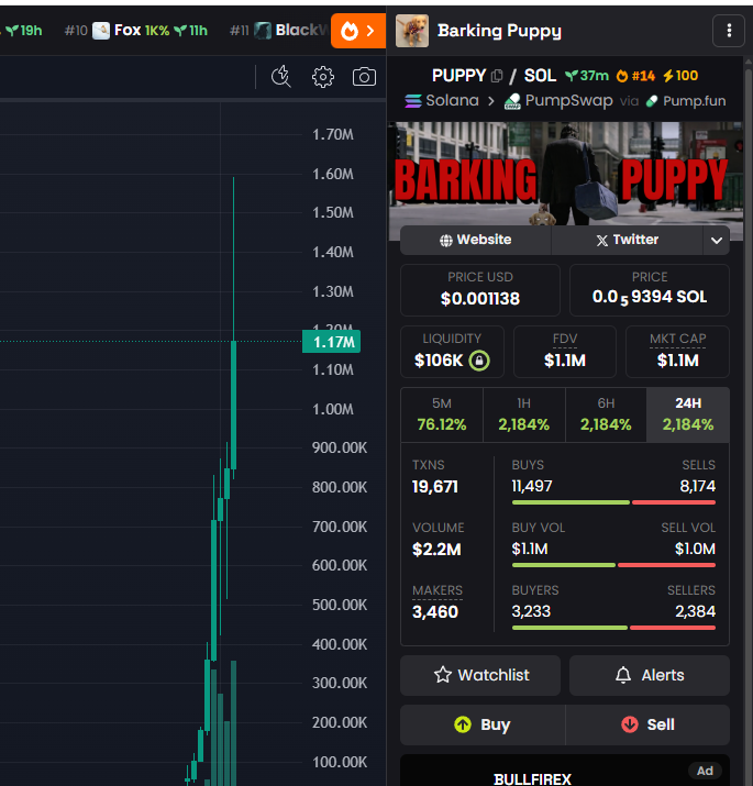 xpeonchain's tweet photo. Let's flip the barking $puppy with the real deal

Roaring $Kitty here we go🚀

9XEDDKKvqB7hgx1efvuJbb5hF2rn3nENRZk6woNspump https://t.co/kk6yVCunja