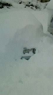 今シーズンもアベニールは埋まってます☃️
キャラバンの隣で存在感がない…
掘ったらヘッドライトがちらり👀
ガラケー画質悪い笑