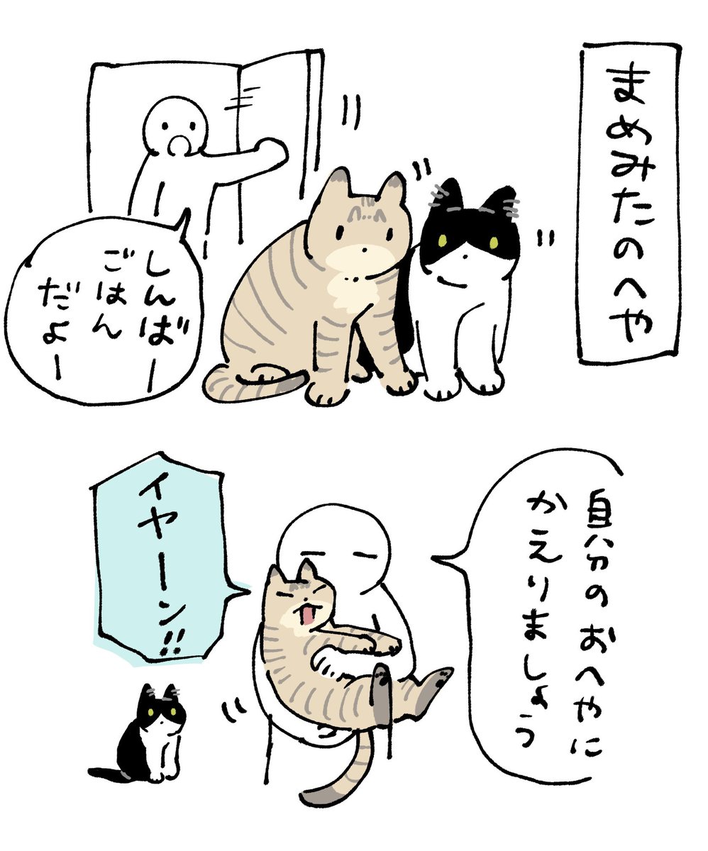 ｲﾔｰﾝ❗️ ←かわいい