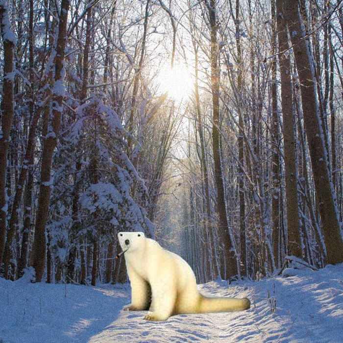 ctopolarbear's tweet photo. GPOLAR https://t.co/WOYprKmlVx