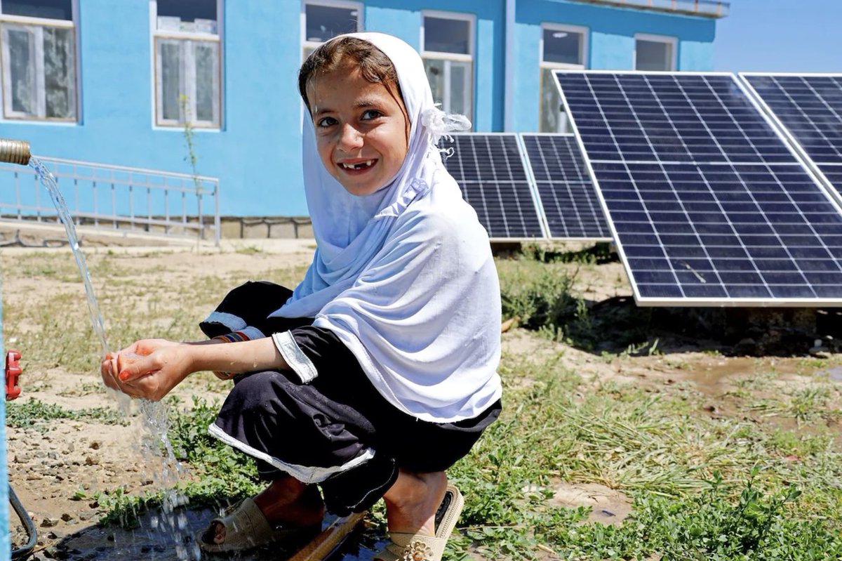 Shoko Noda tweet media