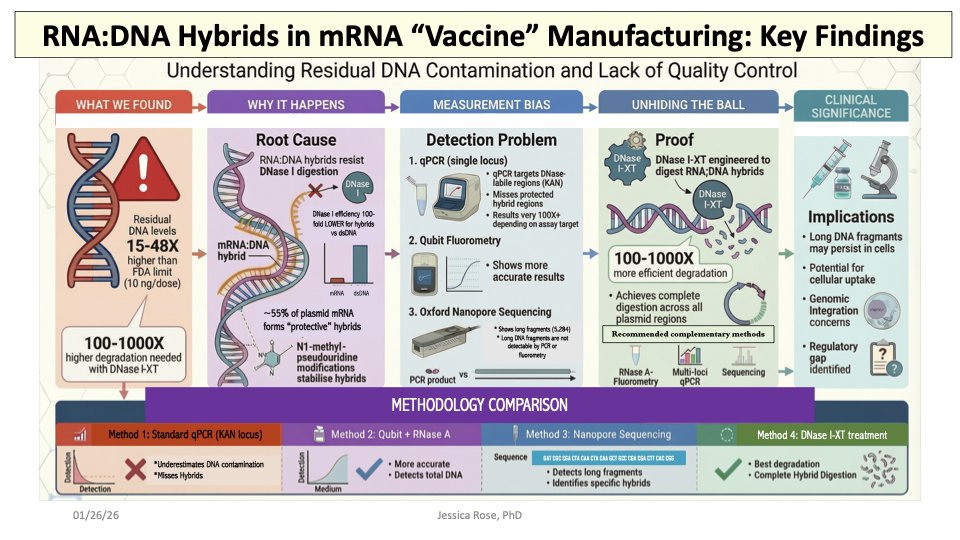 JesslovesMJK's tweet image. Made this little infographic of our new paper. Enjoy! And feel free to share. @Kevin_McKernan @CharlesRixey @weldeiry @SenRonJohnson @SecKennedy @NIHDirector_Jay @ChildrensHD @BrianHookerPhD @RWMaloneMD @TracyBethHoeg @MaryanneDemasi