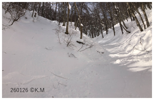 npo_jan's tweet photo. 【事故調査】2026年1月25日に小遠見山・神城地区里山（長野県）で発生した雪崩事故について概略を整理致しました。
https://t.co/TpdVHZHqTm

#雪崩 https://t.co/hyarTF9Vrz