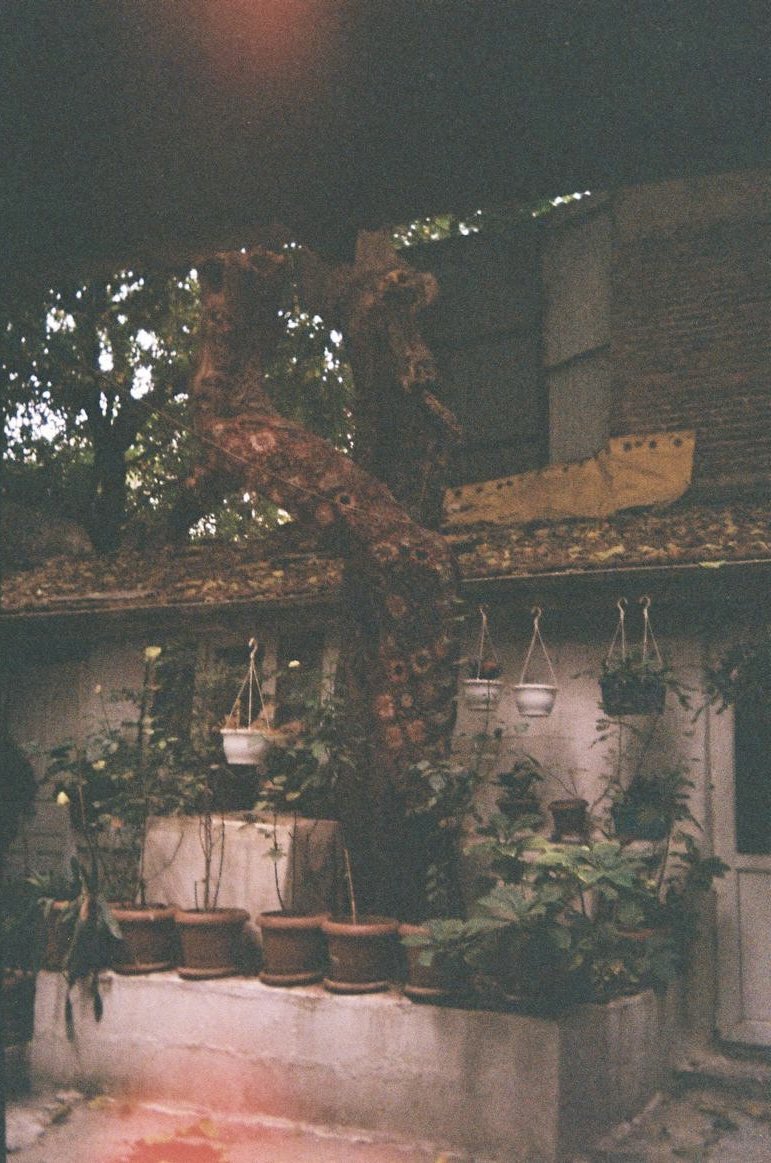 extraomness's tweet image. İlk eserlerim ✨