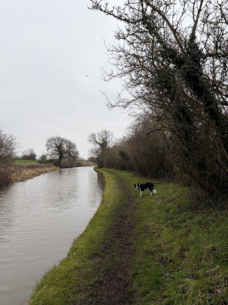 ☠️ Matt 👾 tweet media