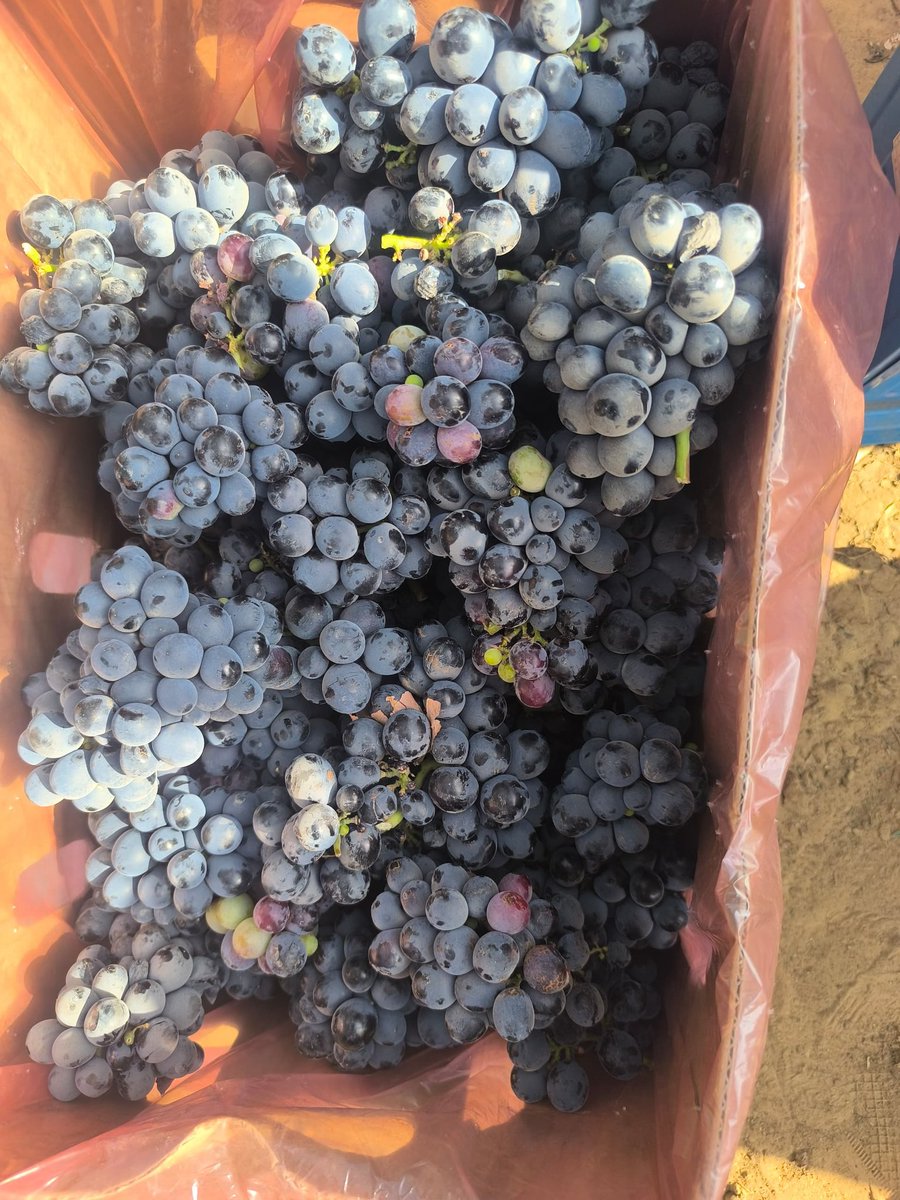 Al Zira'a Tech LTD tweet media