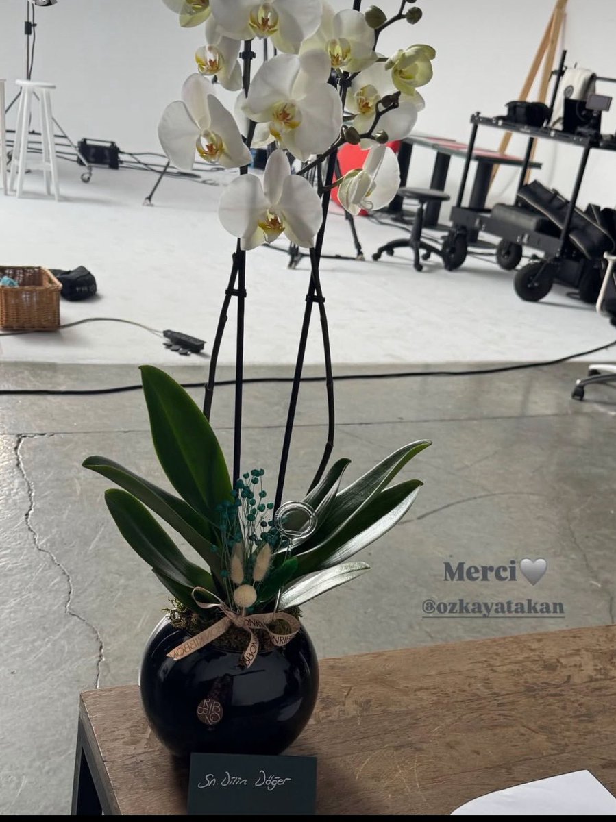 اليوم حلو جدااااا من أوله 🥺🩶