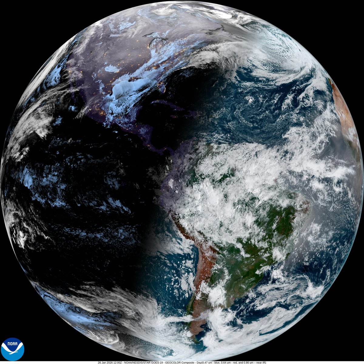 Neural Space tweet media