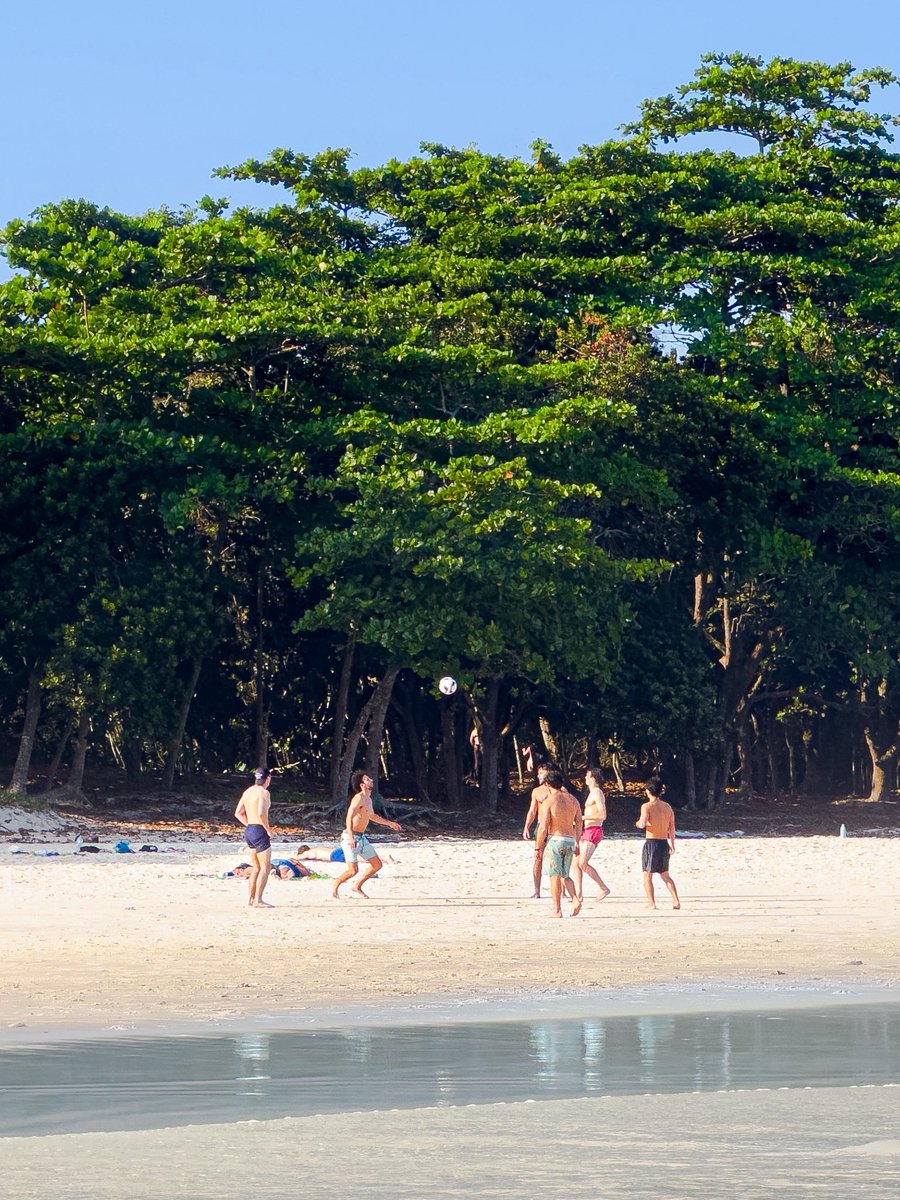 Mais regardez-moi ça la jungle au bord de la plage j’aime trop