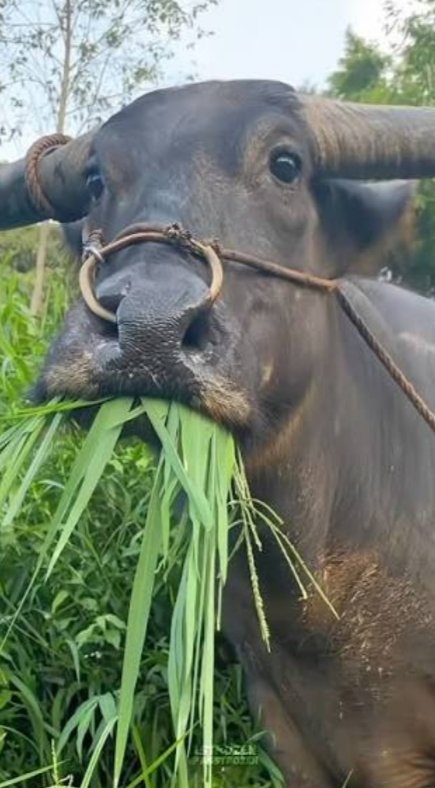 I'm about to cry I made 7 million from a trade I was holding on Gold over the weekend 
Join my mentorship