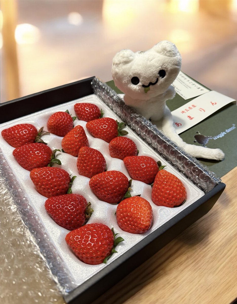 にゃーちゃ、🐈🍵✨ (@nyacha_udonneko) / Highlights / X