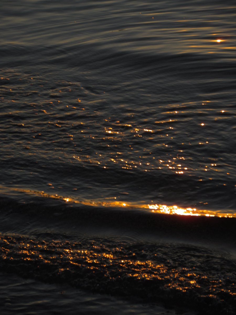 遥か (@faraway_hlc) on Twitter photo 