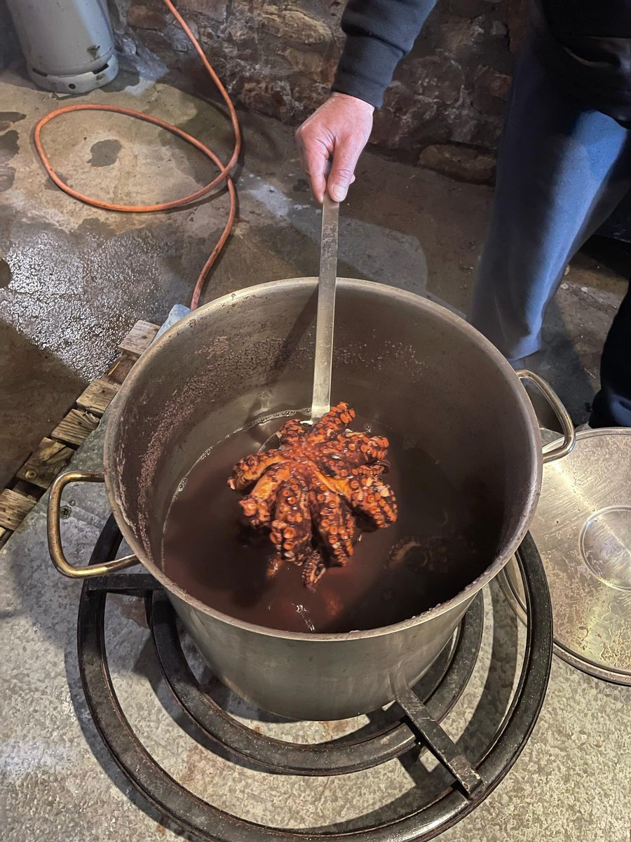 m_athanasios's tweet image. Октоподов сварили…
Интересно, тролли придут сейчас за убийство бедных животных монахов стыдить?