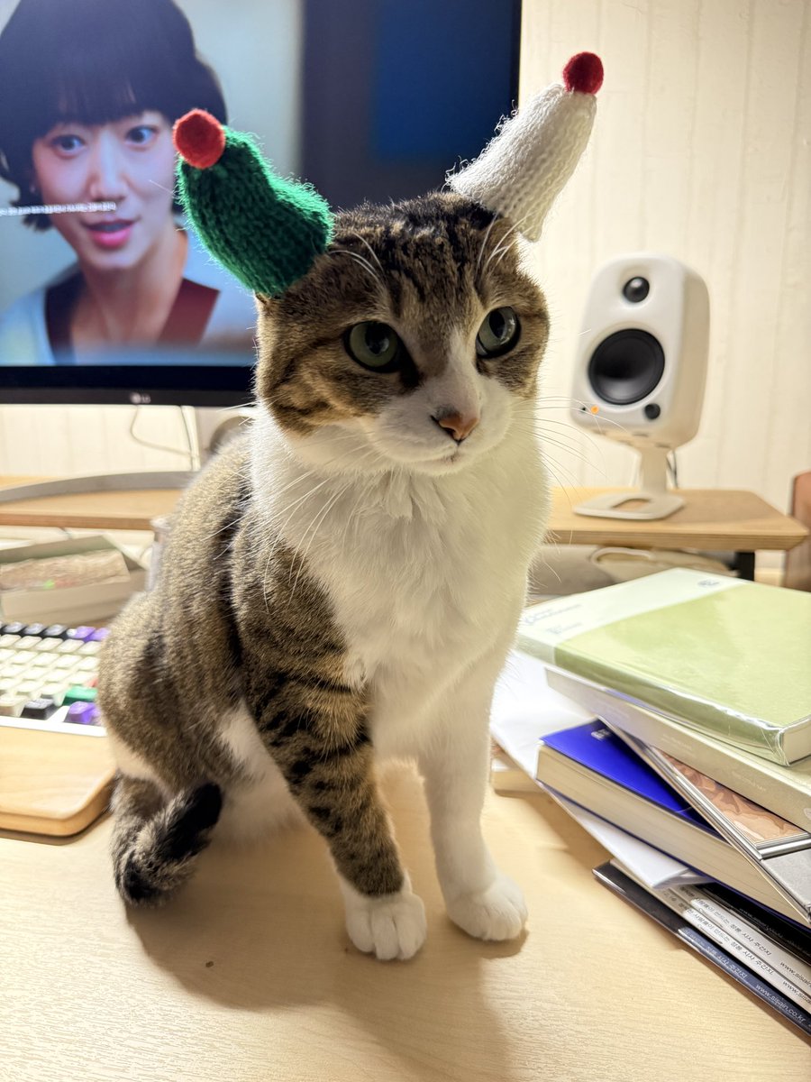 whereisgunny's tweet image. 미로 꾸몄어요 어떤가요
제목: 인프피지만 파티엔 참여하고 싶었어요