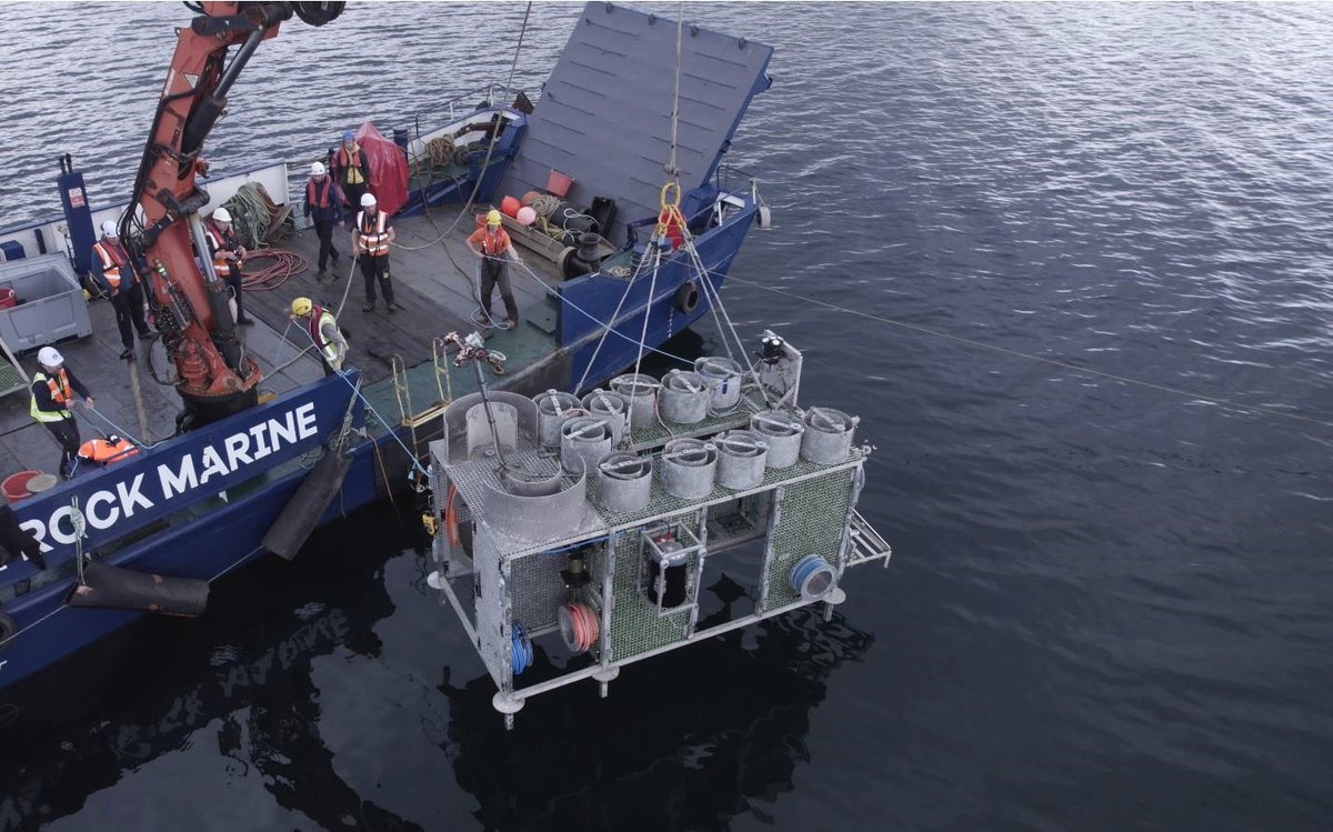 Marine Institute tweet media