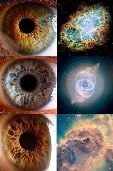 All day Astronomy tweet media