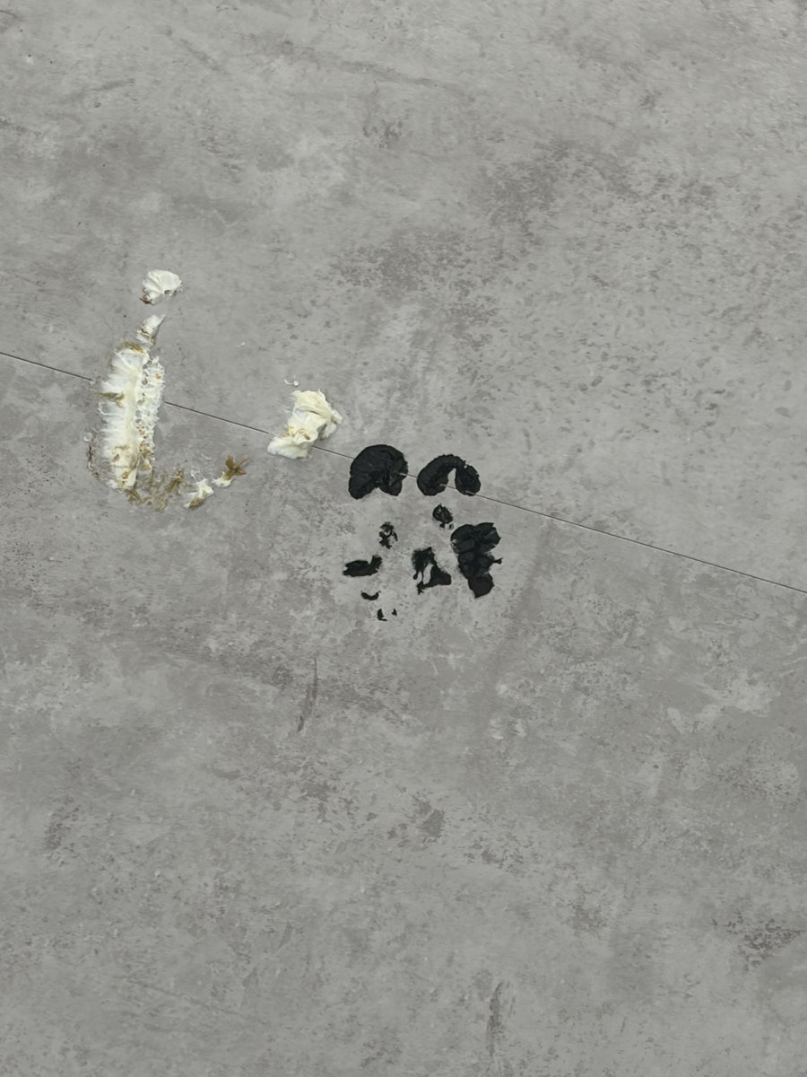 I.M (아이엠) tweet media