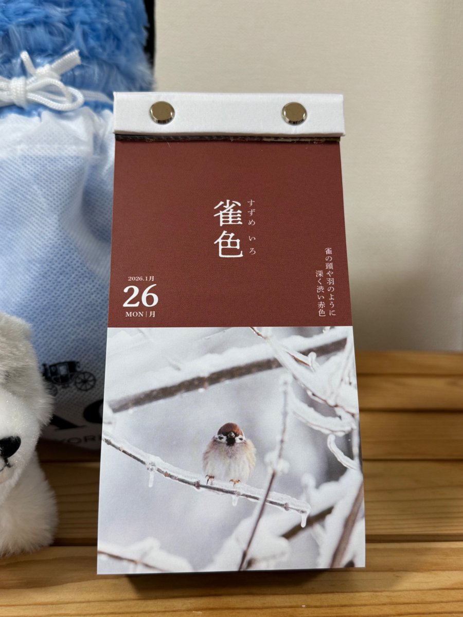 ほんとはもっとかわいい色なんだけど写真だと濃いな　なとりさんの目の色の語彙力がないから候補にしたい