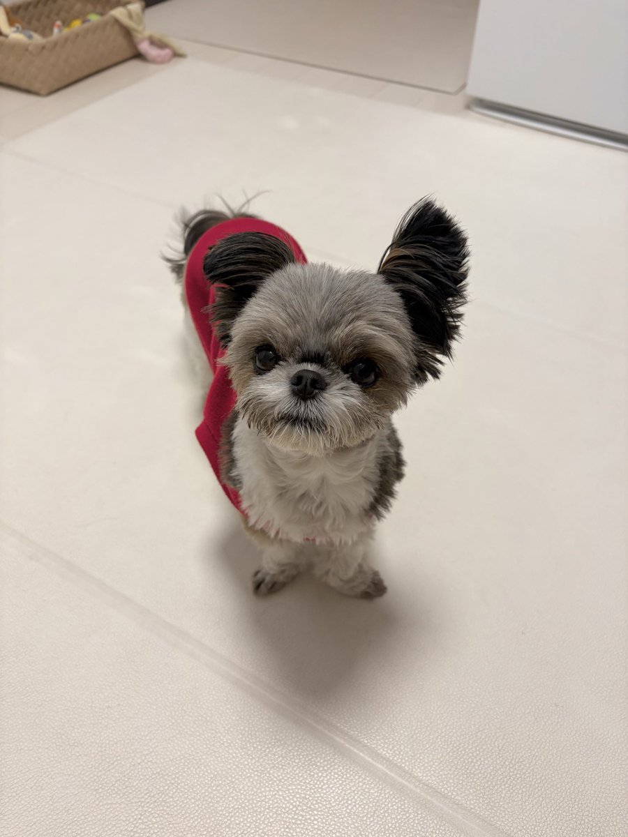 おやすみなさい