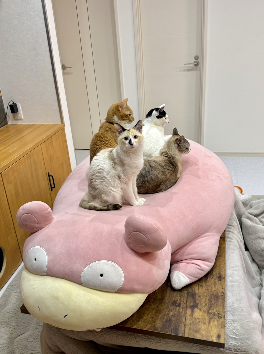 しっぽ (@pnosaru) / Posts / X