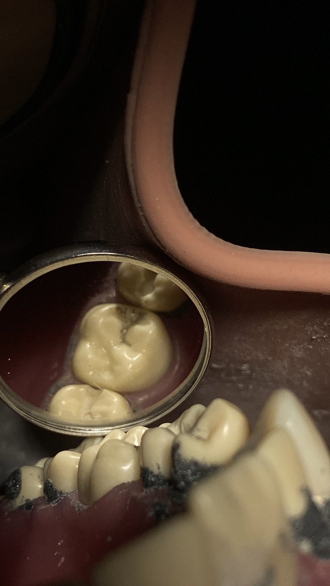 رَهَـف tweet media