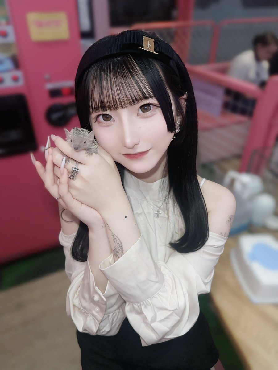 yukine_tnla's tweet image. 🦔𓂃 ⸒⸒ ⸒⸒