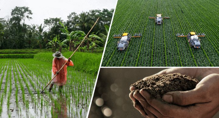PeakSails's tweet photo. Agriculture is still at the heart of Marilex Intercontinental Company Ltd. Real projects. Real growth. Real value. 🌱

#agriculture #Investment #ALTIN #success https://t.co/5kIZpcDsFf