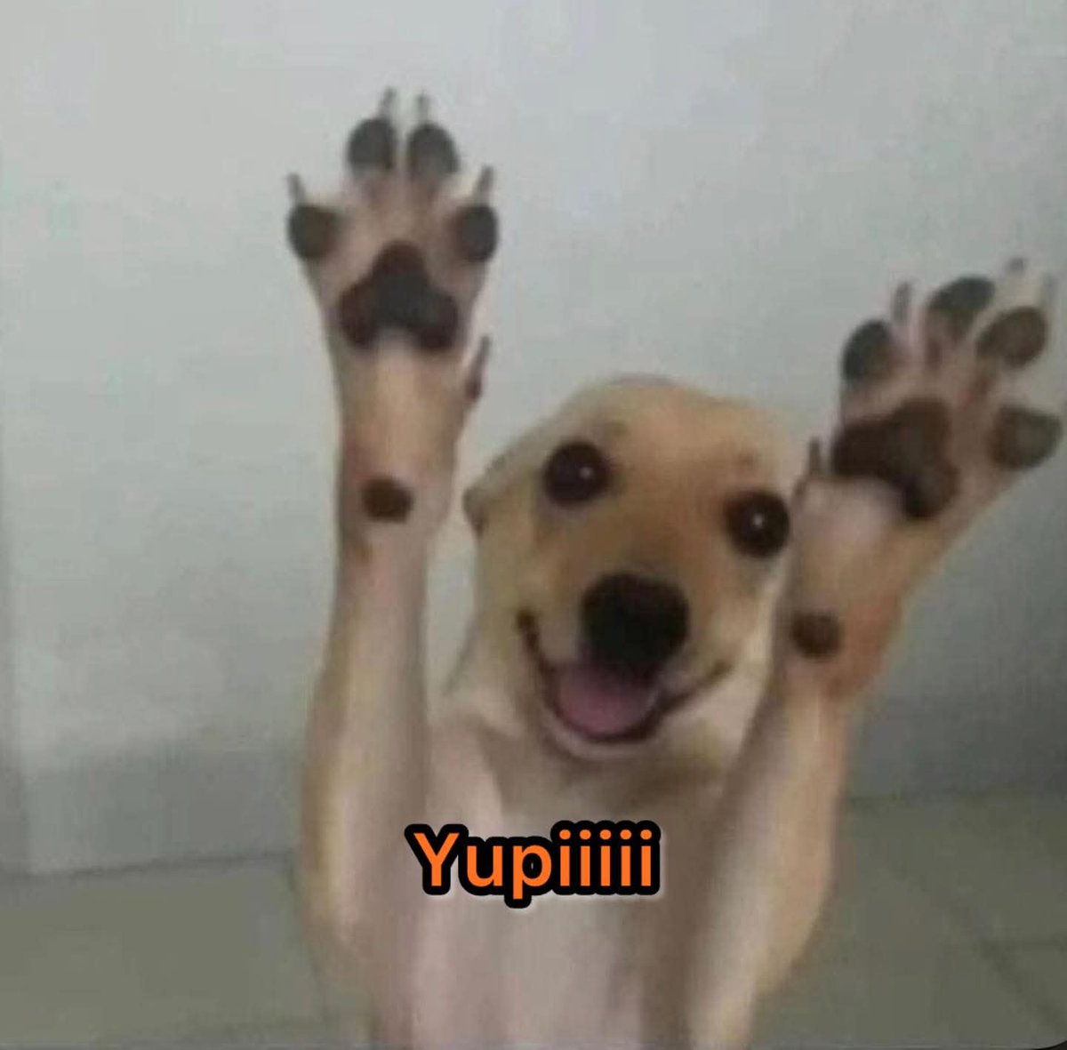 Un cliente: voy a hacer que te despidan.
Yo: